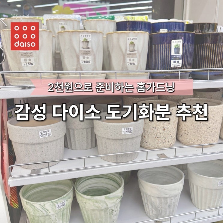 오프라인 매장에서만 판매하는 ‘다이소 화분 추천’ TOP3