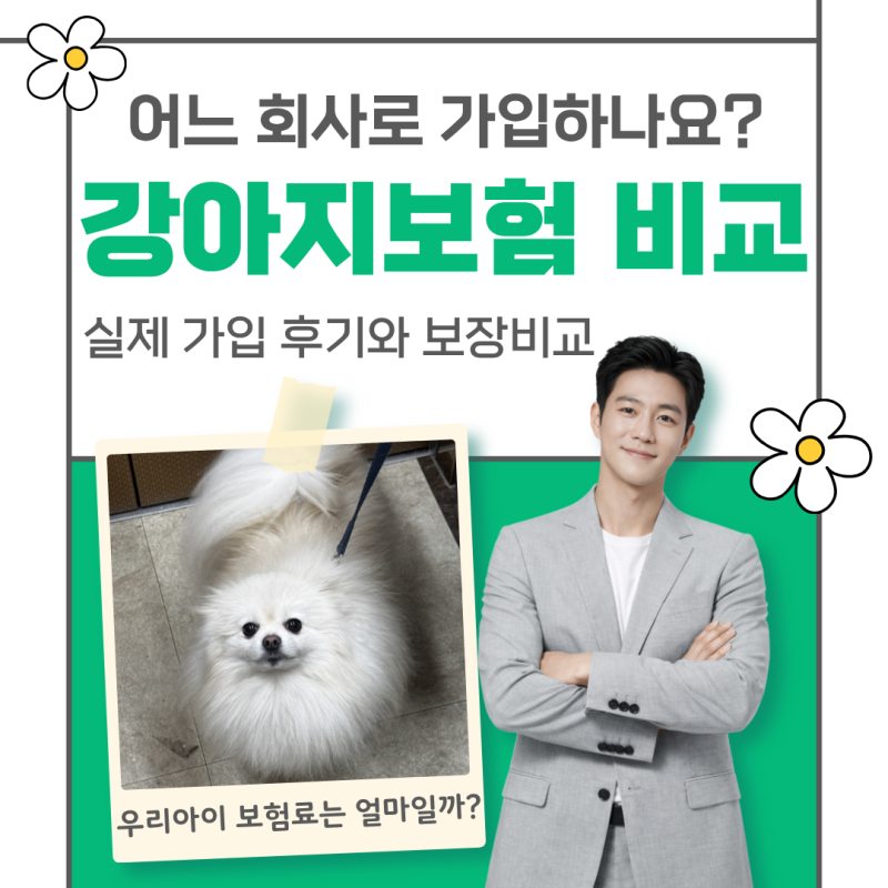 DB펫보험 추천 강아지 애견보험 직접 비교한 후 가입한 후기
