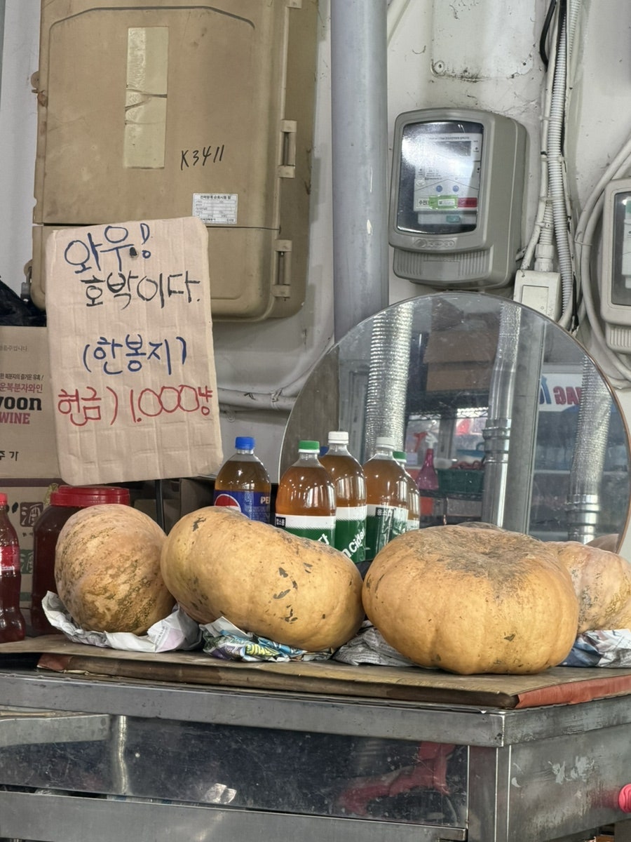 오리세상 사진 3