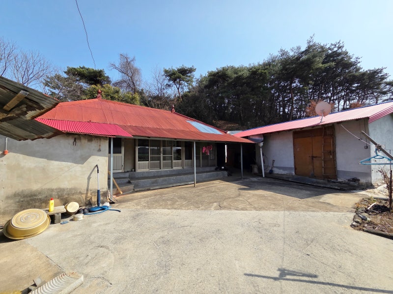 충남 시골집 매매 서천군 소박한 농가주택 넓은 마당과 텃밭 귀농 귀촌 최적지