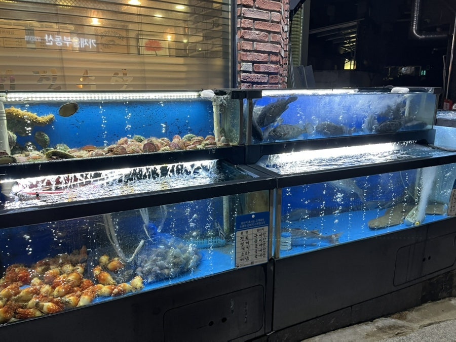 대진수산물 직거래어장 사진 2