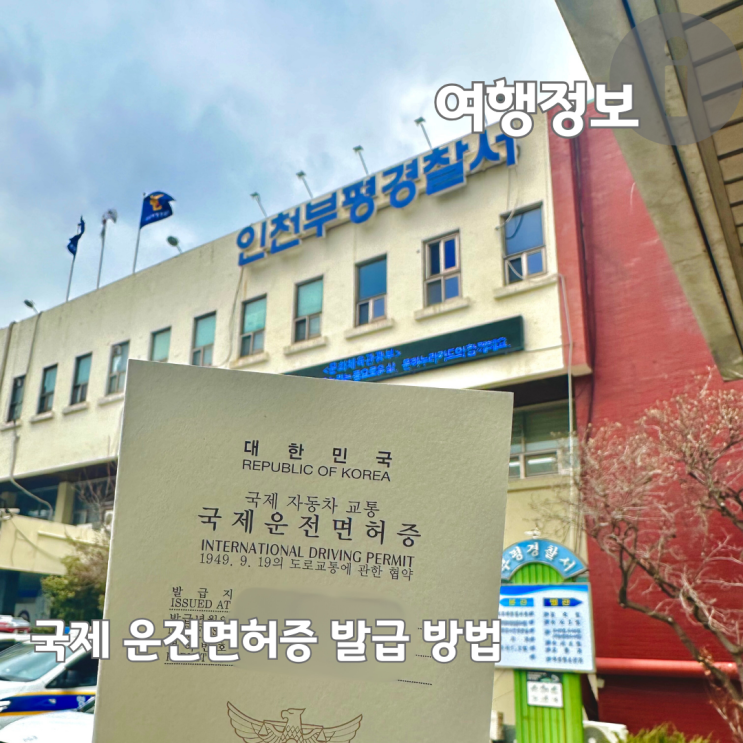  일본 여행 준비물 국제운전면허증 발급방법