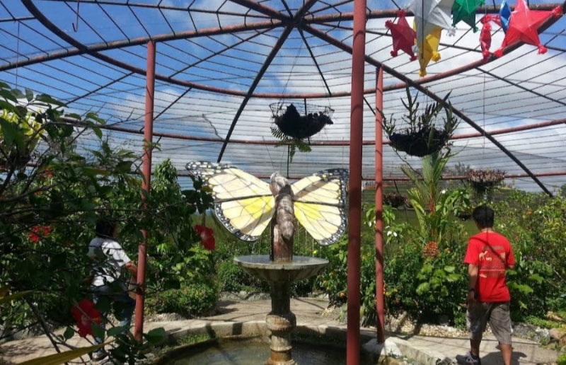 필리핀 세부 막탄 여행 명소 – 후말론 나비보호구역 🦋 (다양한 나비와 자연 체험 가능)