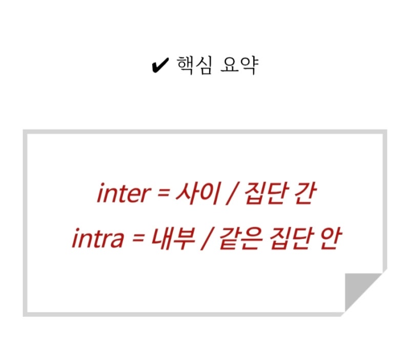 📘 접두사 inter- / intra- 차이 완전 정리(시험에서 자주 헷갈리는 라틴어 접두사) : 네이버 블로그