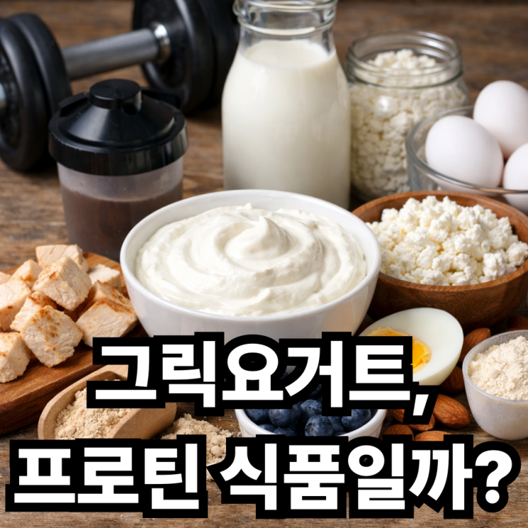  그릭요거트 프로틴 식품으로 적합할까? 단백질 식단에 좋은 이유