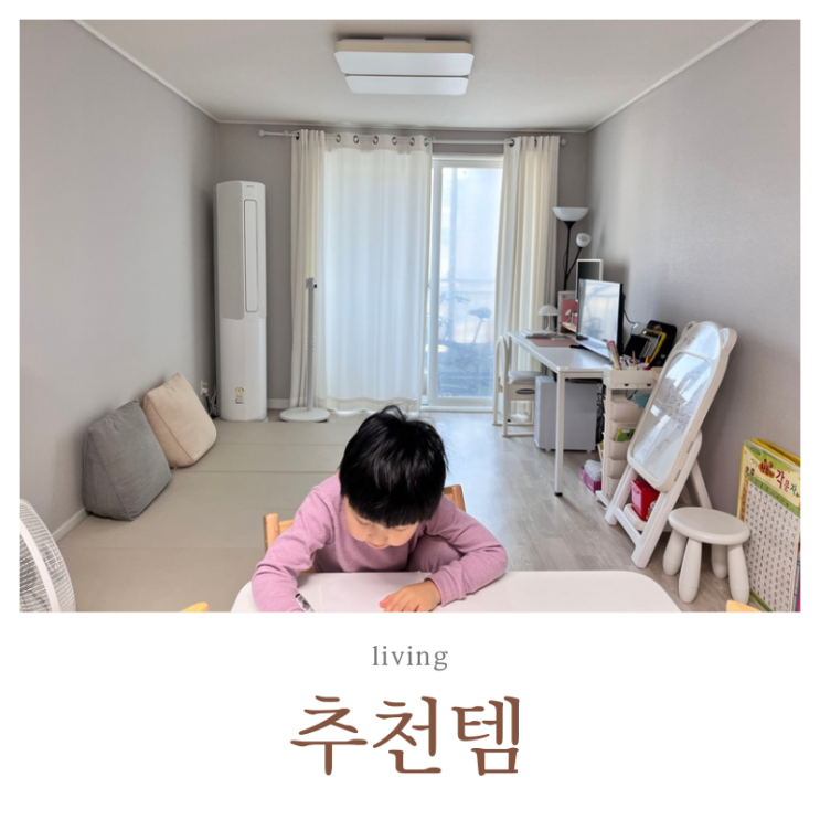  코스트코, 다이소 추천템 대신 미니멀라이프