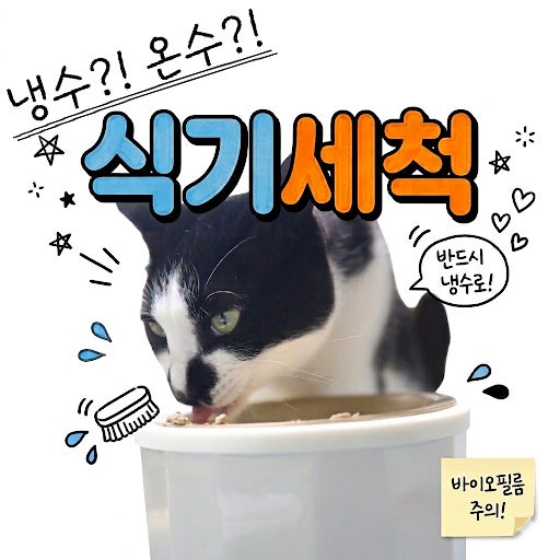  고양이 밥그릇 미끌거림 해결, 1종 세제와 찬물 설거지로 바이오필름 박멸하기
