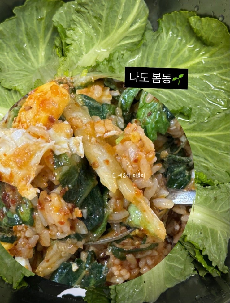  제철 봄동 요리 종결자, 강호동 봄동비빔밥 레시피 황금 양념장
