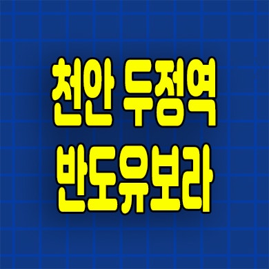  천안 두정역 반도유보라 아파트 두정동 즉시입주 준공후 해약세대