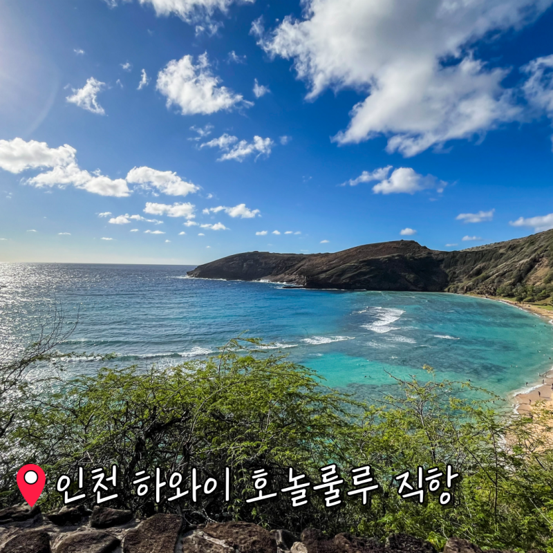 인천 하와이 호놀룰루 직항 항공권 하와이안 항공 후기! 비행기표 비행기값 티켓 예매 가격(....