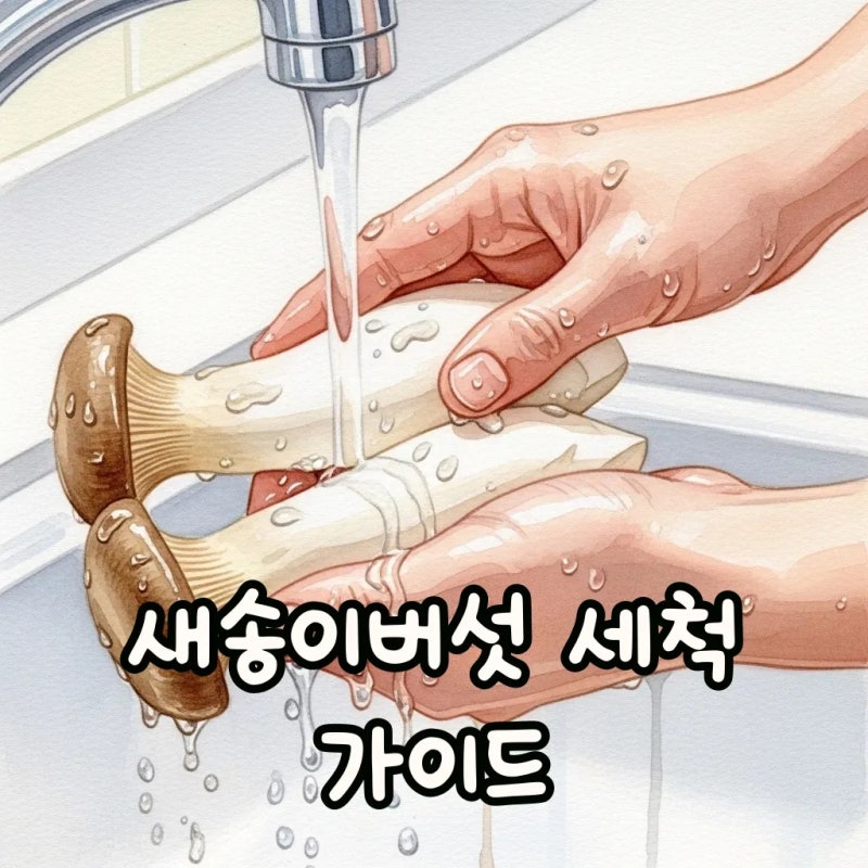 새송이버섯 세척, 고민 끝! 손질부터 보관까지 완벽 가이드