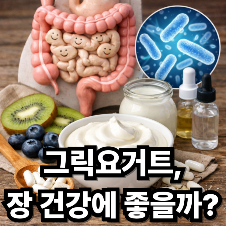  그릭요거트와 장 건강, 프로바이오틱스 효과 분석