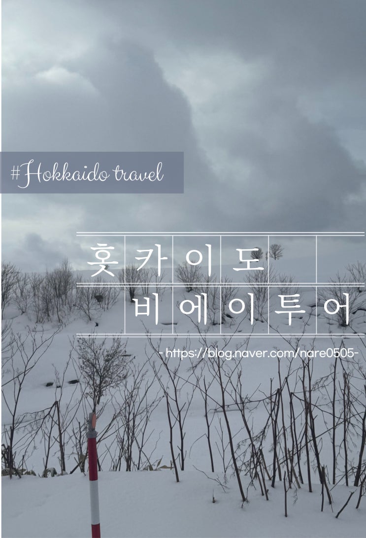  홋카이도 비에이 여행 당일 투어 스나가와 오아시스 Sunagawa Highway Oasis 휴게소 간식 추천