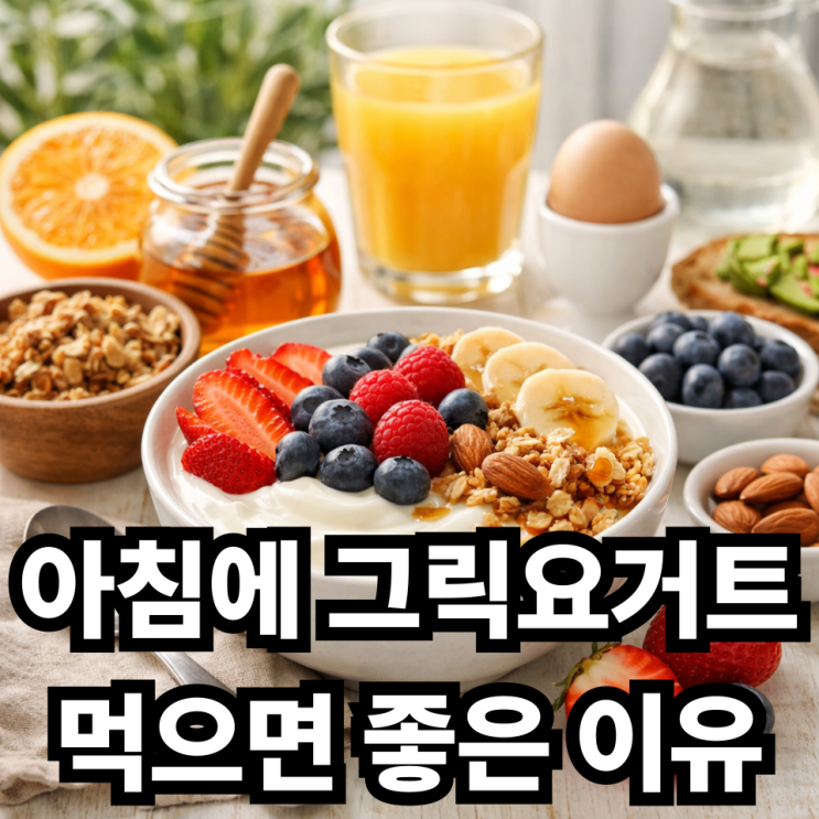  그릭요거트 아침 식단으로 좋은 이유, 건강한 하루 시작하는 방법