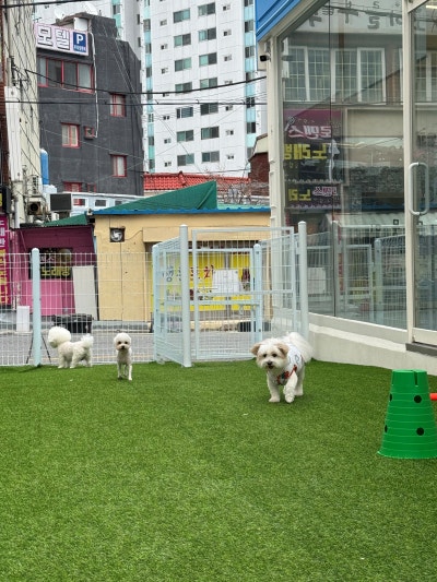 사진 10