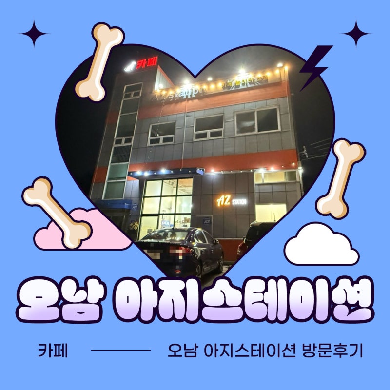 사진 5