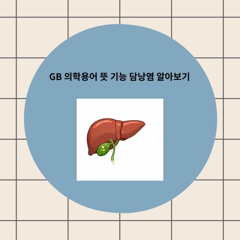 GB 의학용어 뜻 기능 담낭염 알아보기