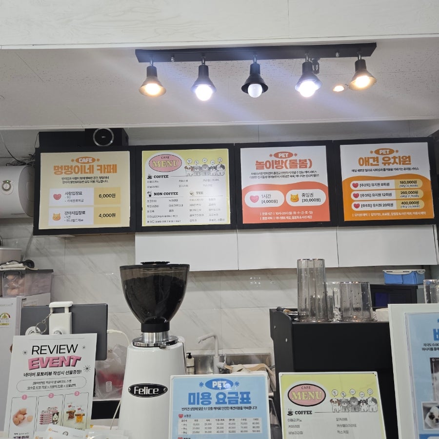 멍멍이네 사진 5