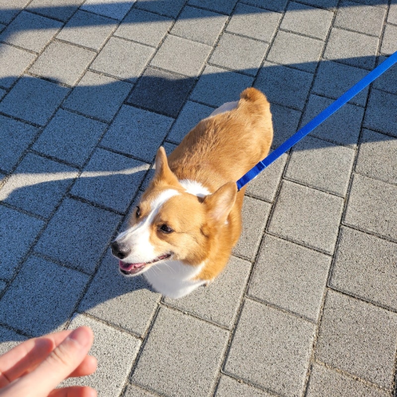 사진 9