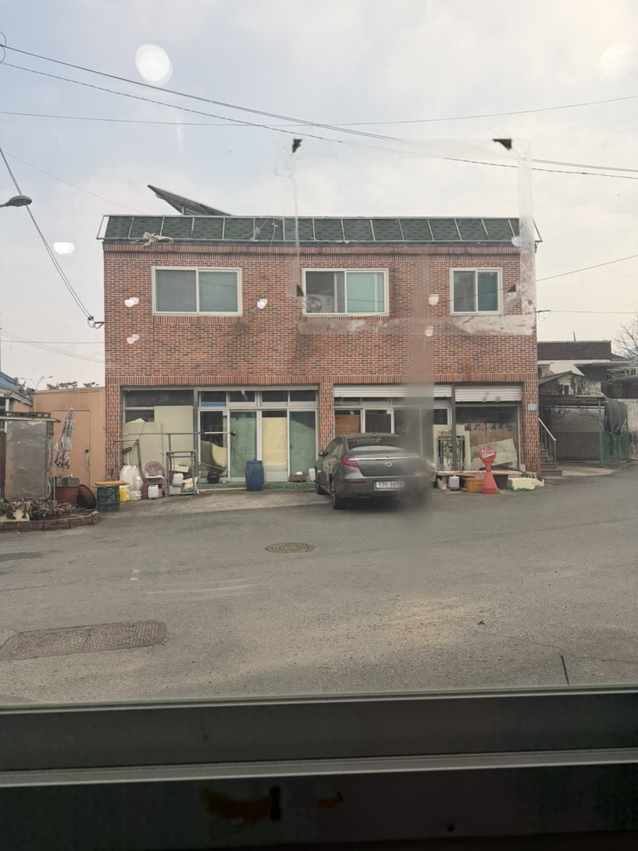 오리세상 사진 5
