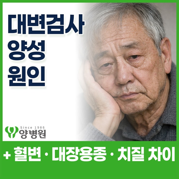  대변검사 양성 원인 – 혈변·대장용종·치질 차이와 대장내시경 필요성