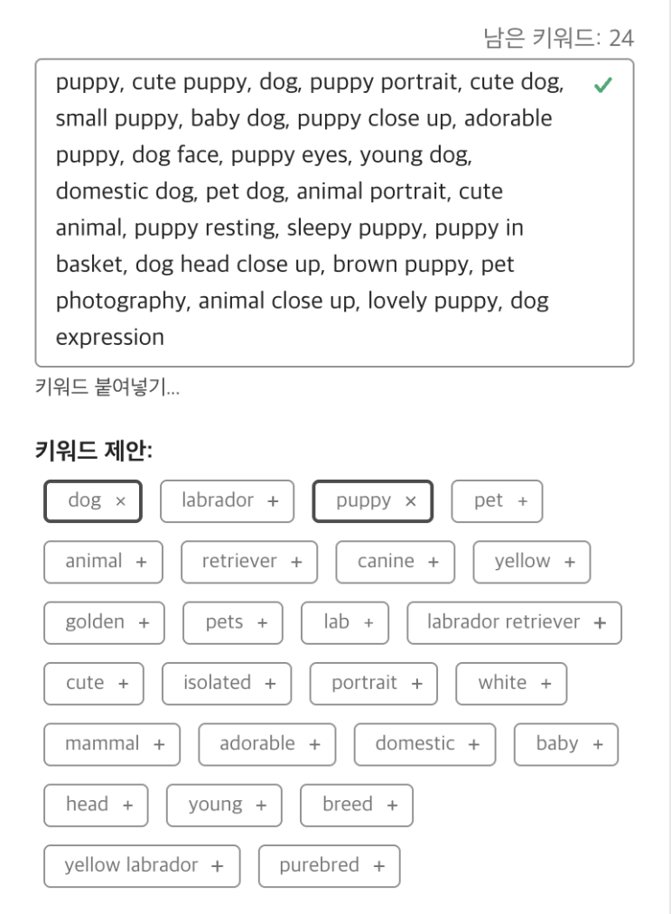  어도비 스톡 8일차. 어도비 스톡 PNG 업로드, 태그 전략까지 바꿔봤다
