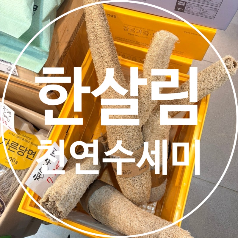 한살림 잠실매장, 인스타 추천템 천연 수세미 구매후기