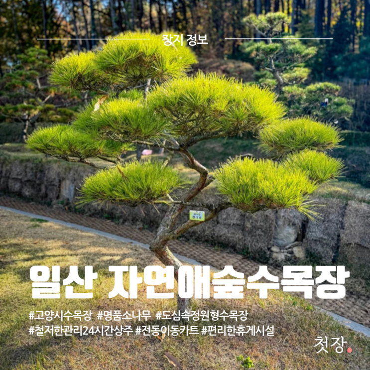  일산 자연애숲수목장 도심 속 정원형 추모공원 수목장 가격, 위치 가는 방법 정보 [첫장]