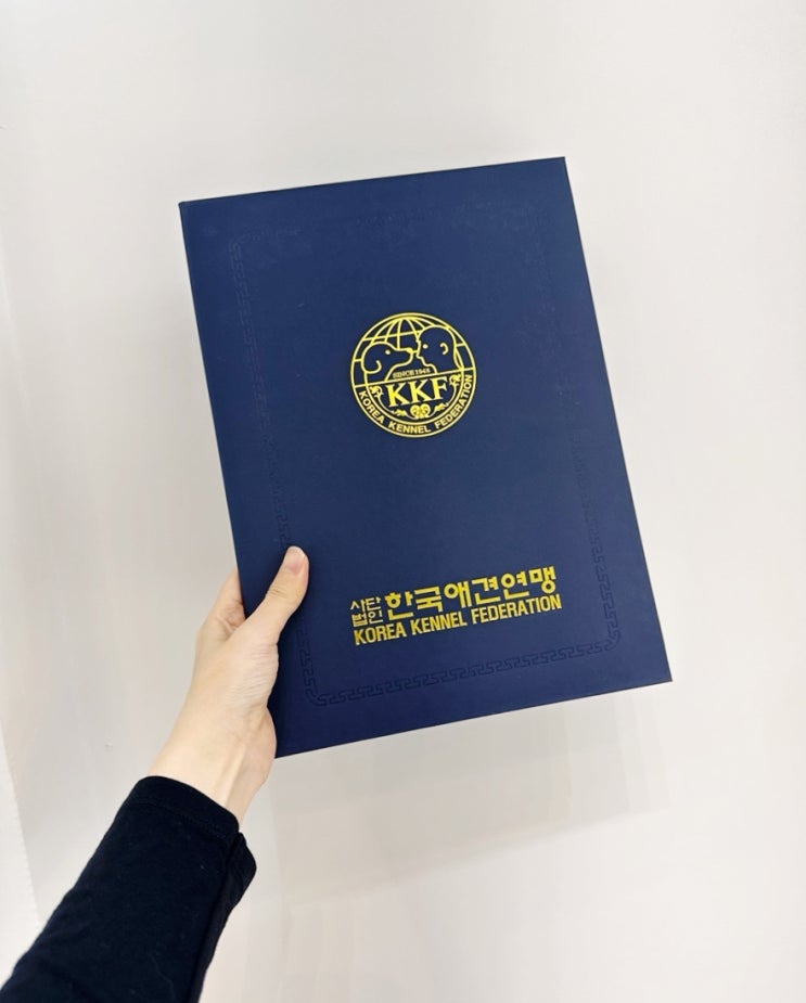  부천애견미용자격증학원 후기, 비용, 추천 이유