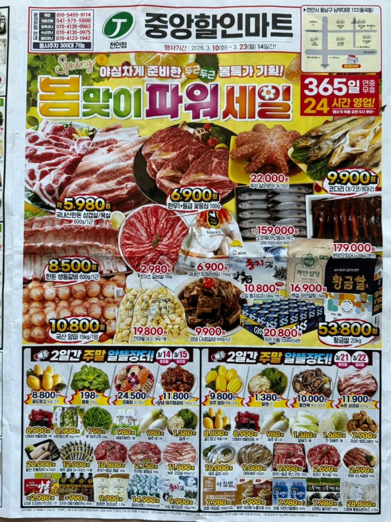 [천안] 중앙할인마트 천안점ㅣ3월 세일기간 장보기 추천 가격 할인 방문 후기