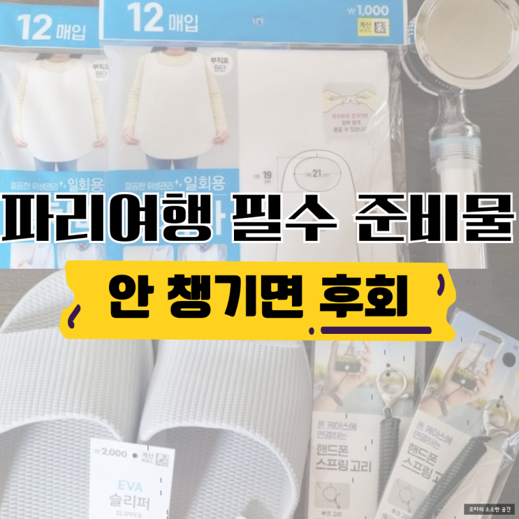  파리여행 필수 준비물 | 파리 자유여행 준비물 6가지 (다이소·유심·카드)