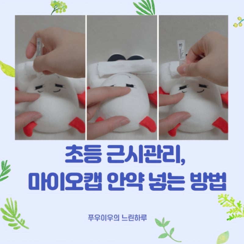 초등 근시관리, 마이오캡 마이오가드 안약 넣는 방법과 사용 기록
