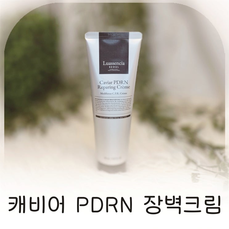 루아센시아 캐비어 PDRN 장벽크림 환절기 피부관리 사용후기