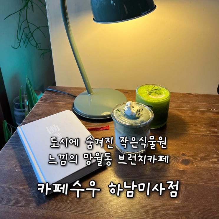  내돈내산 | 도시에 숨겨진 작은식물원 인테리어의 하남브런치카페 “카페수우 하남미사점”