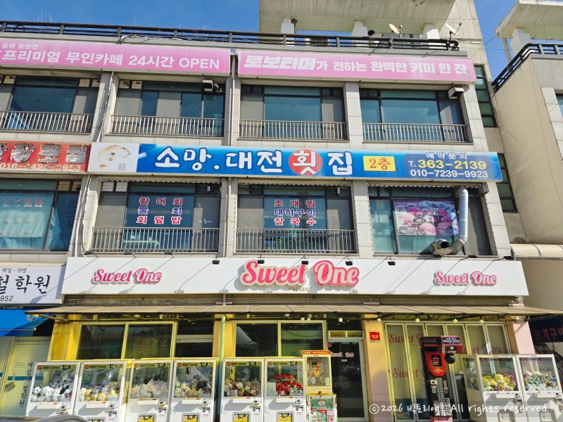 사진 8