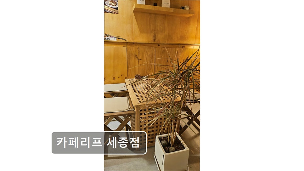 카페리프 세종점 사진 4