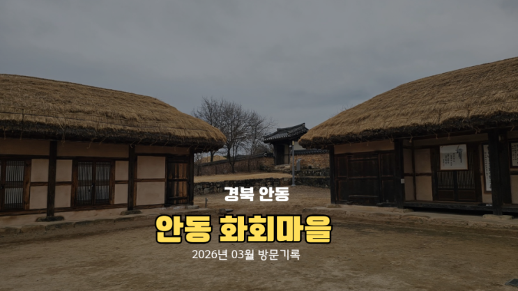  안동 하회마을 전동차 가격 및 셔틀버스 이용 팁 6살 무료 혜택까지!