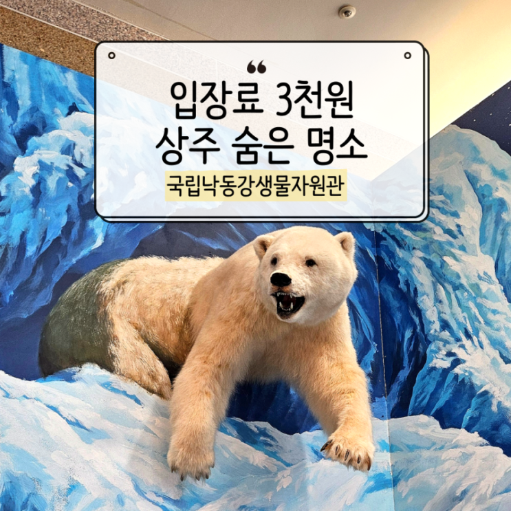  상주 국립낙동강생물자원관 갔다가 마감 찍고 야외놀이터까지 달린 썰