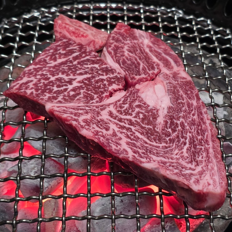  [잠실 룸식당 광화문등심 석촌호수점] 잠실 한우 맛집: 꽃등심과 갈비