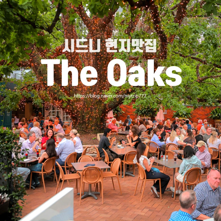  시드니 인기 레스토랑 & 바 The Oaks Hotel | 현지 감성 펍 레스토랑