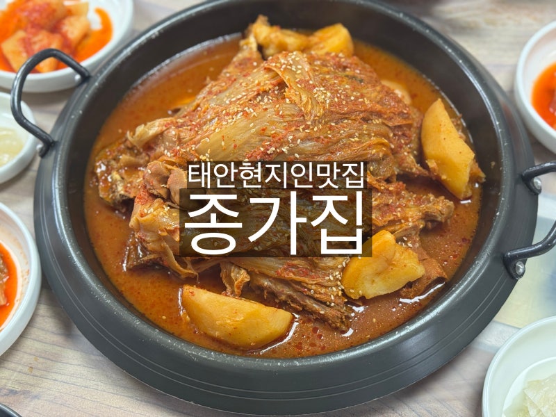 사진 9