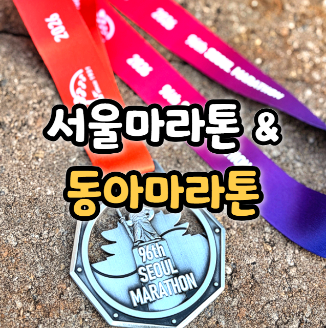  2026 서울마라톤 동아마라톤 집결지 출발 시간 코스 기념품은?
