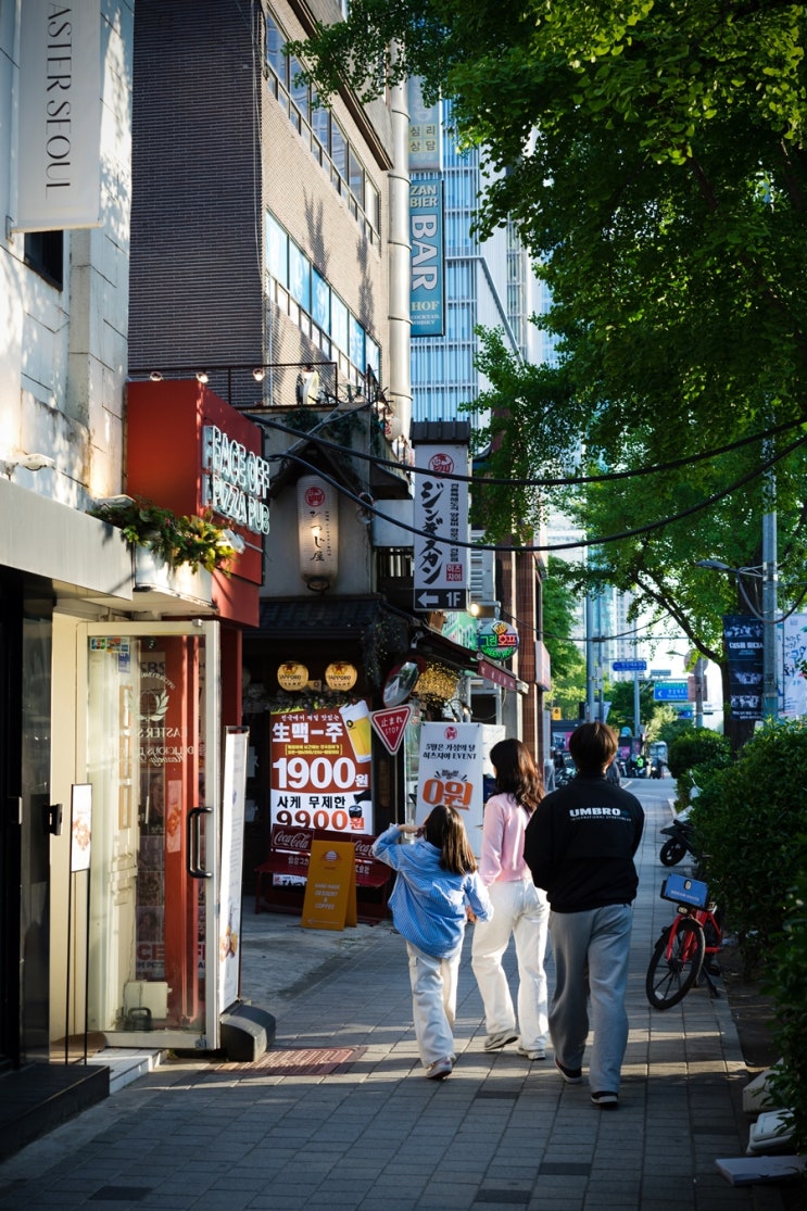  서울 근교 가볼 만한 곳｜가족여행으로 남이섬·두물머리·전쟁기념관 1박 2일