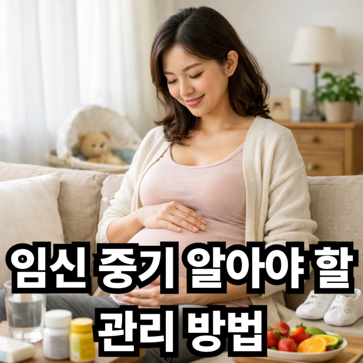  임신 중기 임산부 관리법, 안정적인 임신을 위한 생활 관리 가이드