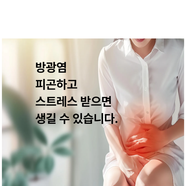  여자 방광염 증상, 피곤하고 스트레스 받으면 더 잘 생깁니다