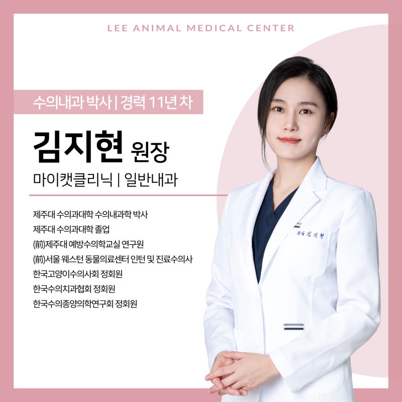 김지현 원장 | 마이캣클리닉