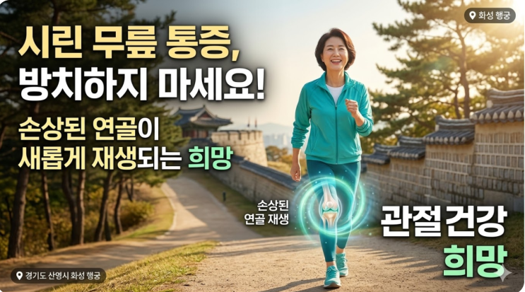  시린 무릎 통증,  인공관절 수술? 줄기세포? 무릎 연골 재생 가능?