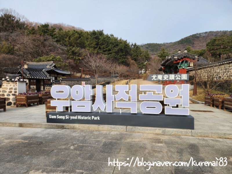 사진 11