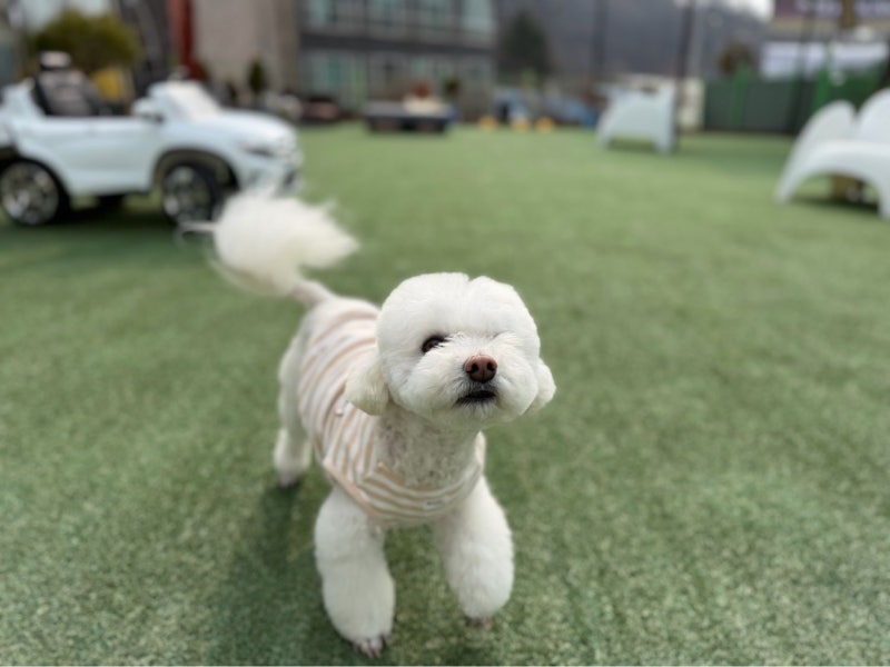 사진 4