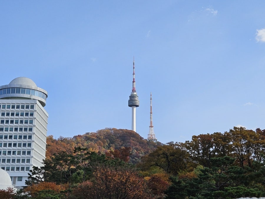 일루소 커피 사진 2